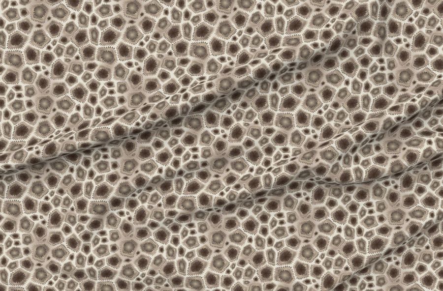 Petoskey Stone - Large Scale
