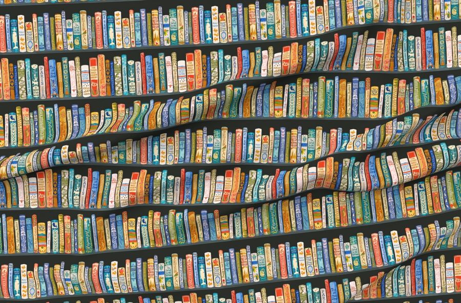 Children'S Library Book Shelf - Bold And Dark - 6In Shelves