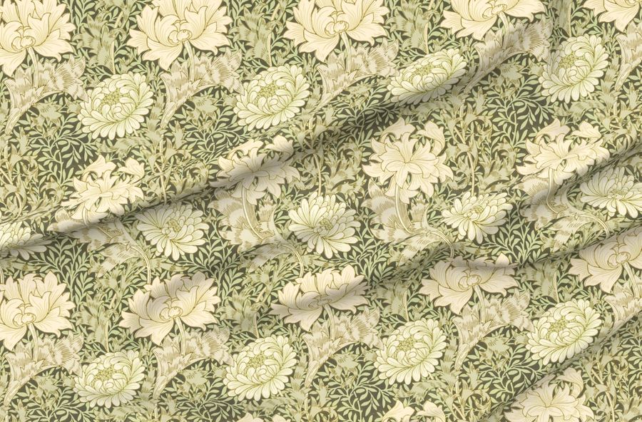 Chrysanthemum William Morris-Elegant Heritage & Cottage Flowers Deco
