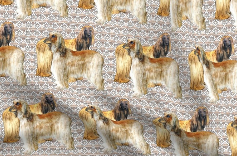 Afghan Hounds Fabric by Dogdazedesigns
