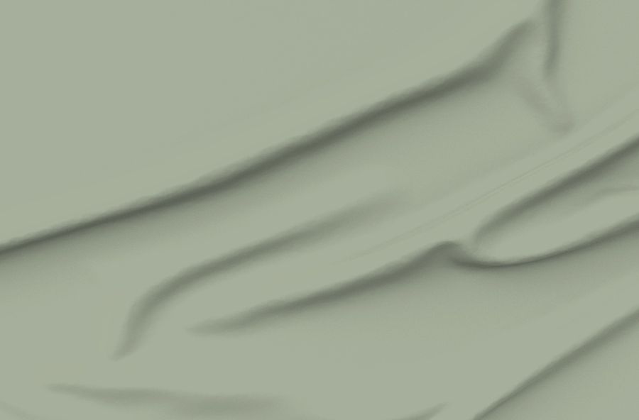 Sumi Bamboo Birds - Plain Solid - Warm Sage - Muted Heritage Olive Green