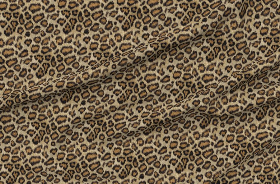 Etosha Leopard