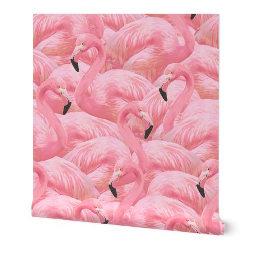 Flamingo Fever in Pink