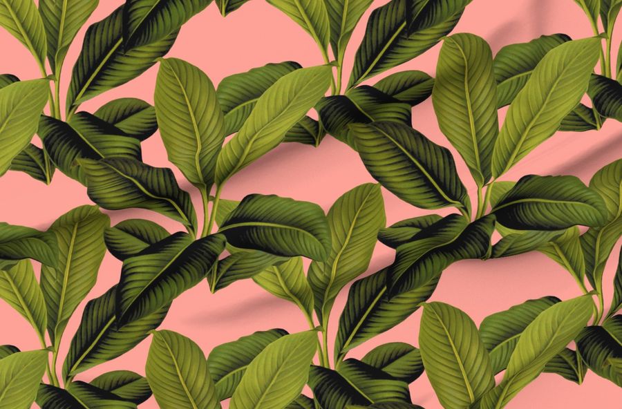 Palm In Palm Duchess