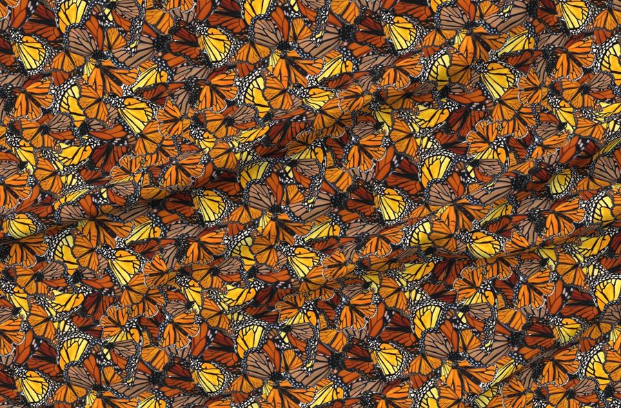 Little Butterflies