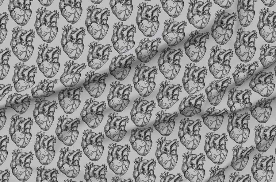 Hearts Anatomical On Soft Gray