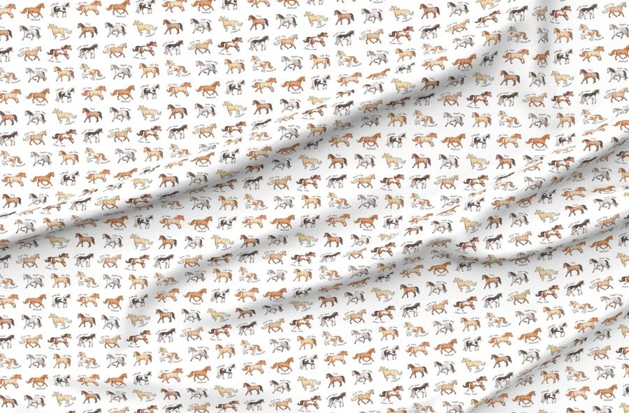 Horses Coat Colours And Markings On White - Medium Scale