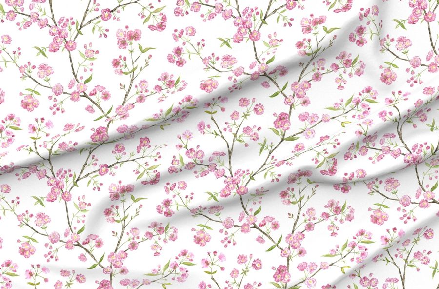 Cherry Blossoms