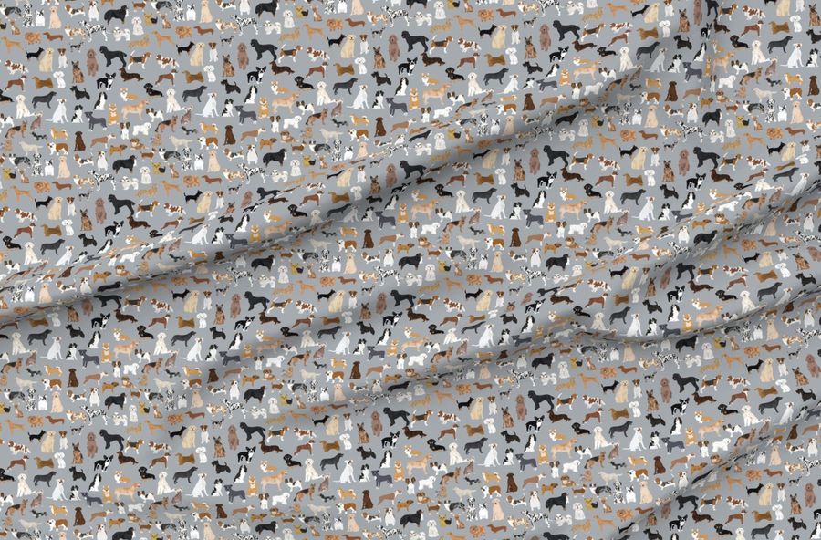 Dogs Grey Cute Dog Best Dogs Grey Dogs Dog Breed Dog Dog Best Dog
