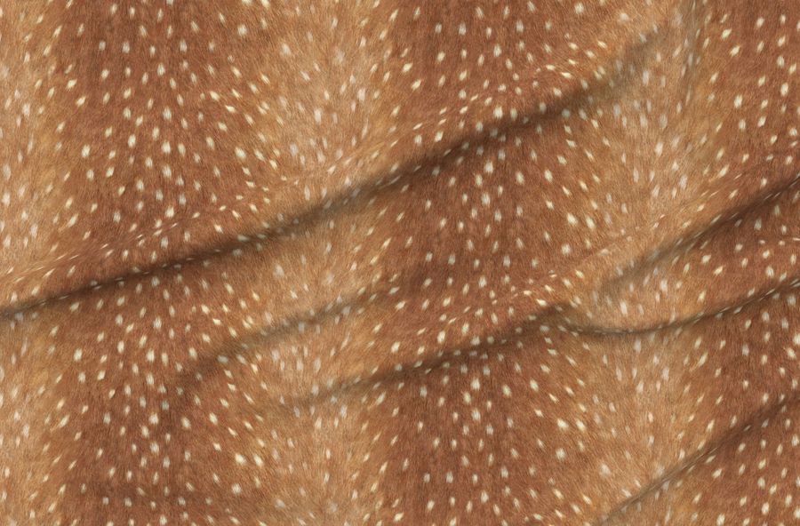 Soft Deer Hide // Spring Fawn