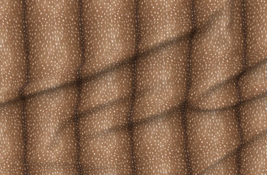 Deer Hide // Medium