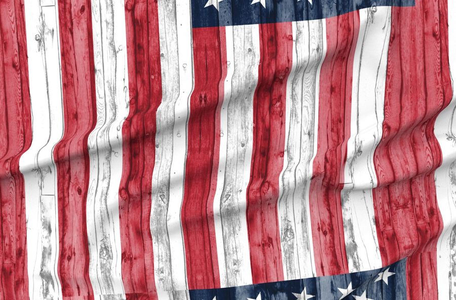 American Flag - 2 Yard Minky