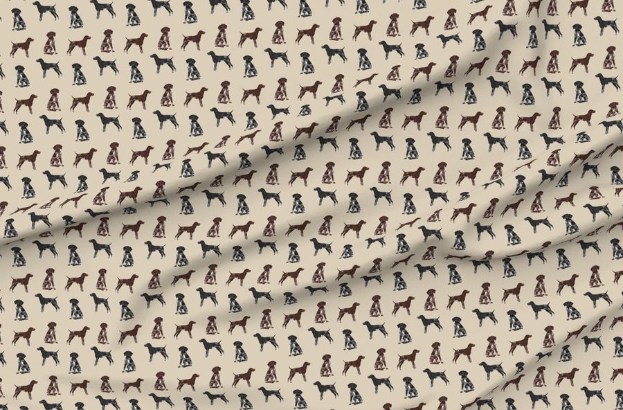 German Shorthaired Pointer Dogs Gsp Gsp Dog Cute Dog Black And White Gsp