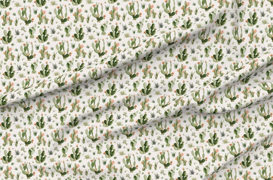 Desert Cactus Blooms
