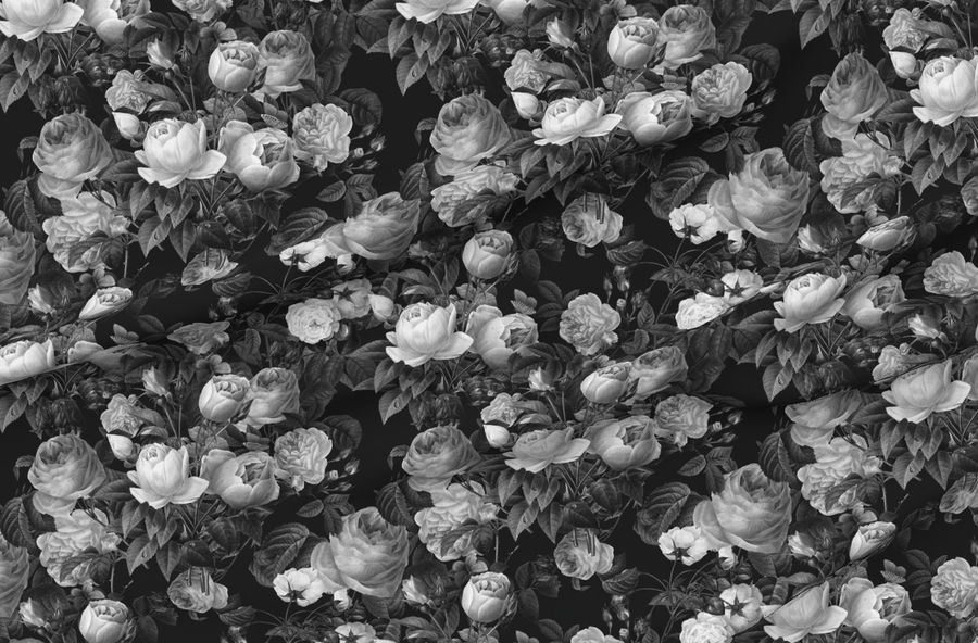 Deep Black And White Floral