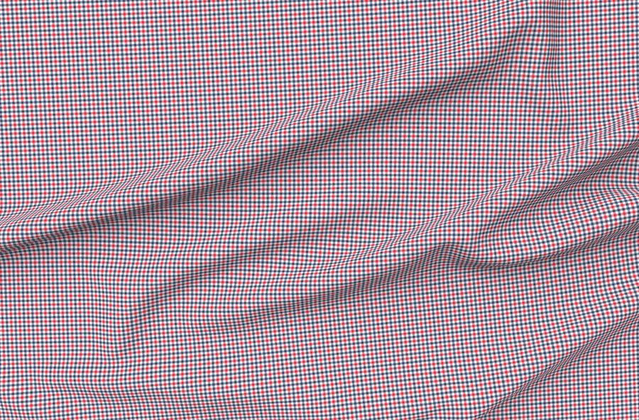 (Micro Scale) Red White And Blue Plaid - Check - Lad20