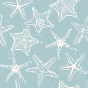 starfish on misty blue