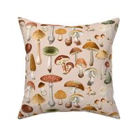 Mushies, Terracotta Mustard Sage on Faded Desert Pink  // large