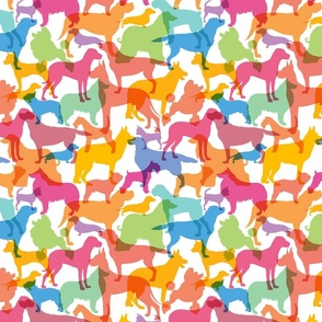 Normal scale • Bright Multicolor Animals - Autism - All different all equal