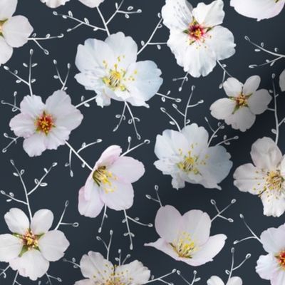 Almond bloom on grey