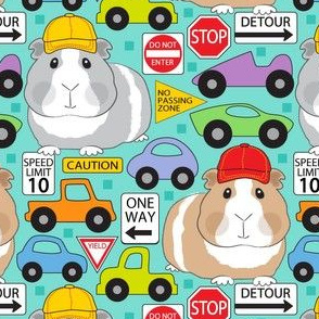 guinea pigs automobiles and road signs