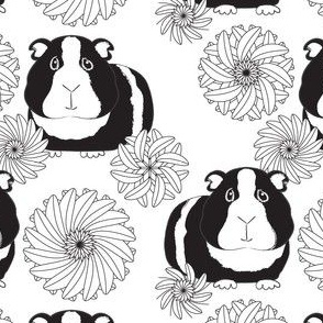 black and white guinea pigs and mandalas