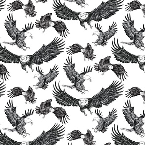 Eagles Pattern