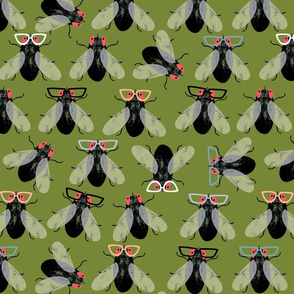 Flies with glasses olive