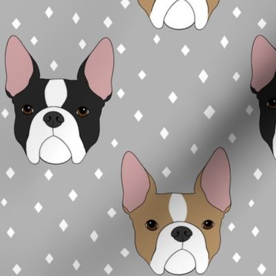 Boston Terriers - Gray