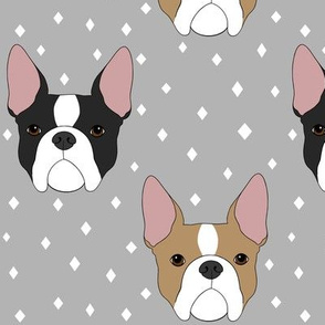 Boston Terriers - Gray