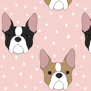 Boston Terriers - Light pink