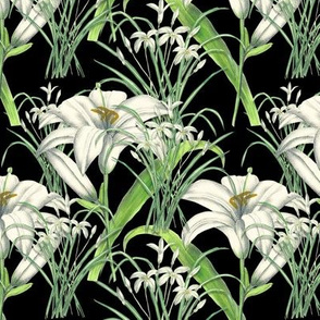 LILY AND SNOWDROP (BLACK)