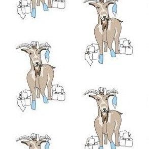 Corona Goat