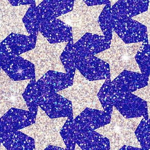 Royal Silver Stars glitter