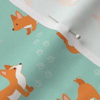 Happy Cute Playful Corgi , Sleeping and playing dogs and Paws on Mint green Background