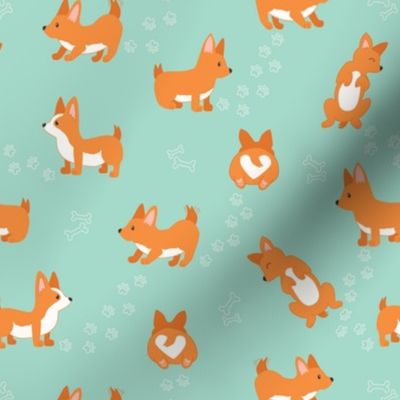 Happy Cute Playful Corgi , Sleeping and playing dogs and Paws on Mint green Background