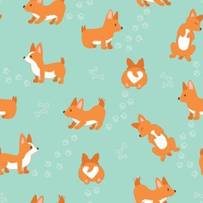 Happy Cute Playful Corgi , Sleeping and playing dogs and Paws on Mint green Background