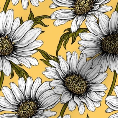 Daisies on yellow 