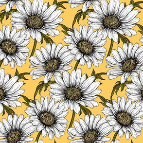 Daisies on yellow 