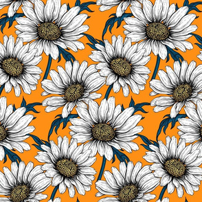 Daisies on orange