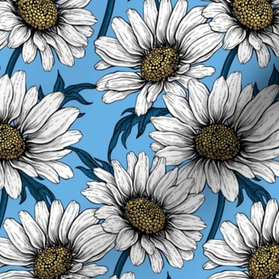 Daisies on blue