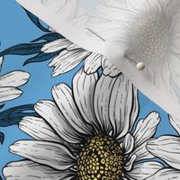 Daisies on blue