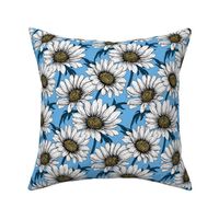 Daisies on blue