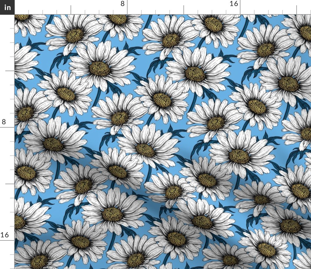 Daisies on blue