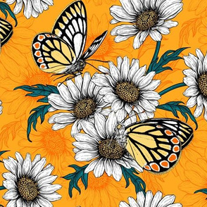 Jezebel butterflies and daisy flowers on orange