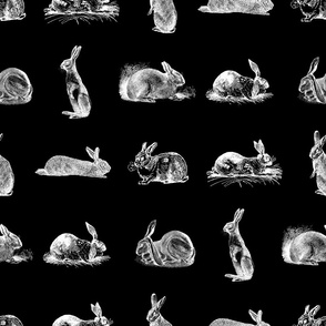 Vintage Rabbits with Black Background (Large Scale)