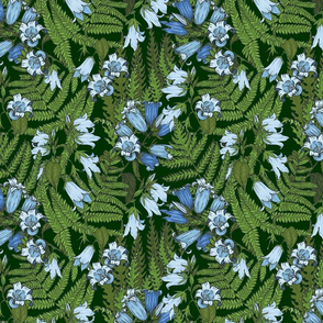 fern 3 color 01