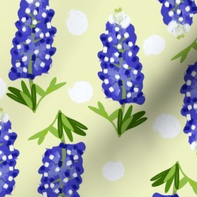 Texas Blue Spring Bluebonnet Flowers
