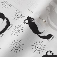 black and white guinea pigs and happy suns