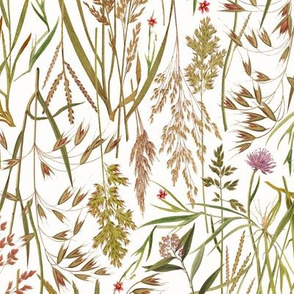 medium wild grasses with clover on white